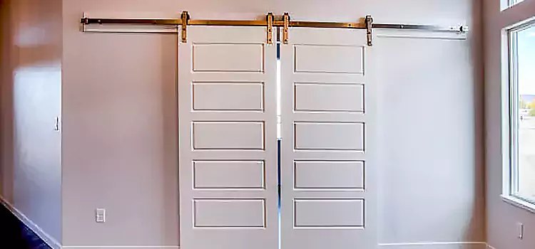 Glass Barn Door with Installation Hardware Kit Rexburg