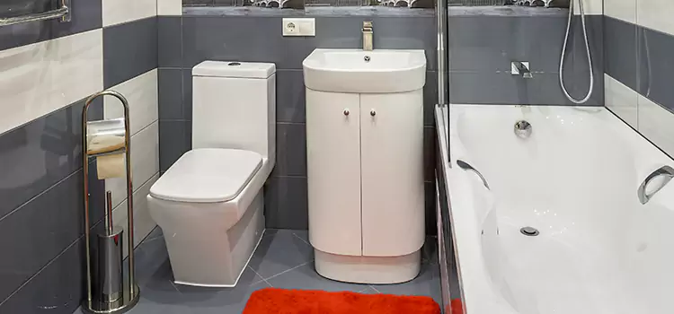 Hansgrohe Shaving Mirror Rexburg